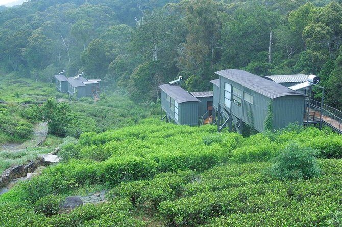 All Inclusive - Private Overnight Rain forest adventure in Sinharaja - Why This Tour Offers Great Value