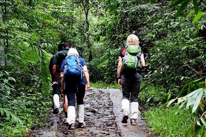 All Inclusive - Private Overnight Rain forest adventure in Sinharaja - Who Would Love This Tour?