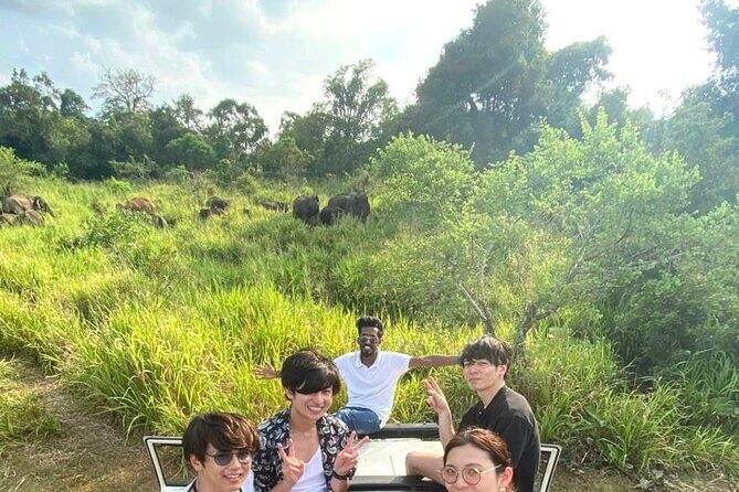 All Inclusive Private Safari at Habarana Park (Pick-up Included) - The Sum Up: Is It Worth It?