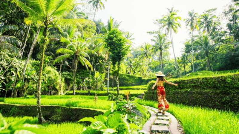 all-inclusive-private-ubud-tour-with-jungle-swing
