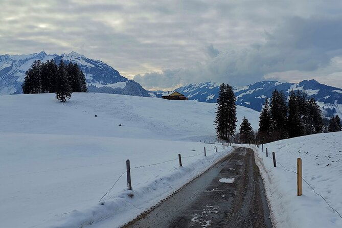 all-inclusive-rhine-falls-and-appenzell-private-day-tour-from-zurich