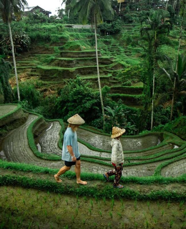 All-Inclusive Rice Terrace, Waterfall, and Temple Day Tour - An Introduction to the Tour