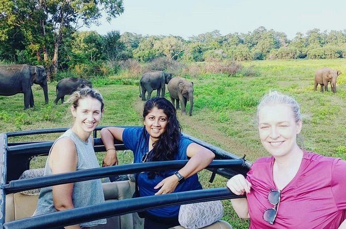 All Inclusive Safari at Minneriya National Park from Polonnaruwa - Reviews and Insights