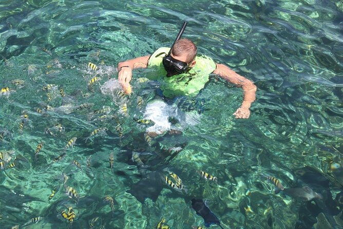 all-inclusive-sailing-and-snorkeling-half-day-trip-in-bahamas