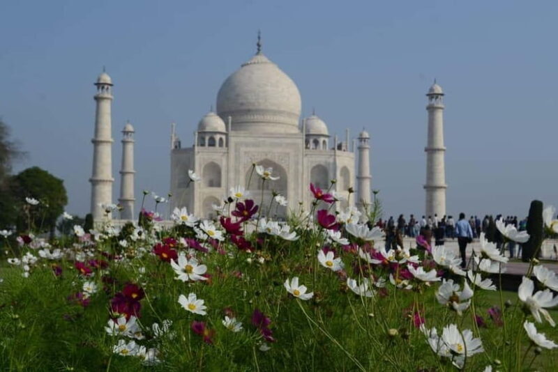 All-Inclusive Same-Day Group Tour to the Taj Mahal - Who is This Tour Best For?  