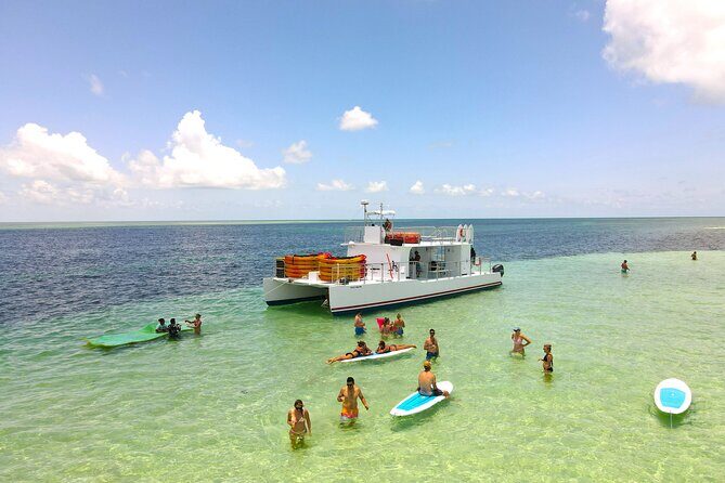 All-Inclusive Sandbar Safari with Dolphin Playground Encounter - A Comprehensive Look at the Sandbar Safari Experience