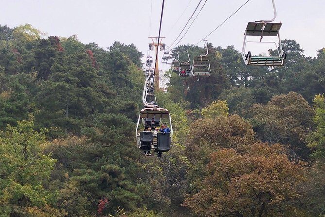 All Inclusive Small Group Tour to Ming Tomb and Mutianyu Great Wall from Beijing - The Practical Side: What to Expect