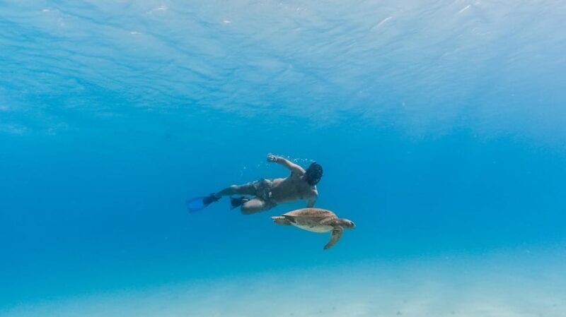 All-inclusive Snorkel in Balandras Hidden beaches, La Paz - Final Words