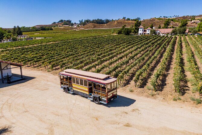 All-Inclusive Social Wine Tour - Why Choose the All-Inclusive Social Wine Tour?