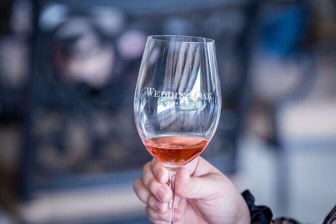 All-Inclusive Social Wine Tour - Who Will Love This Tour?