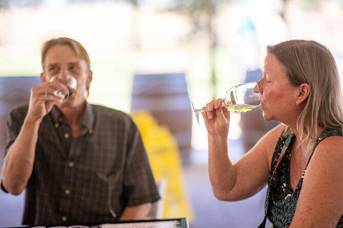 All-Inclusive Social Wine Tour - Final Thoughts: Is the All-Inclusive Social Wine Tour Worth It?