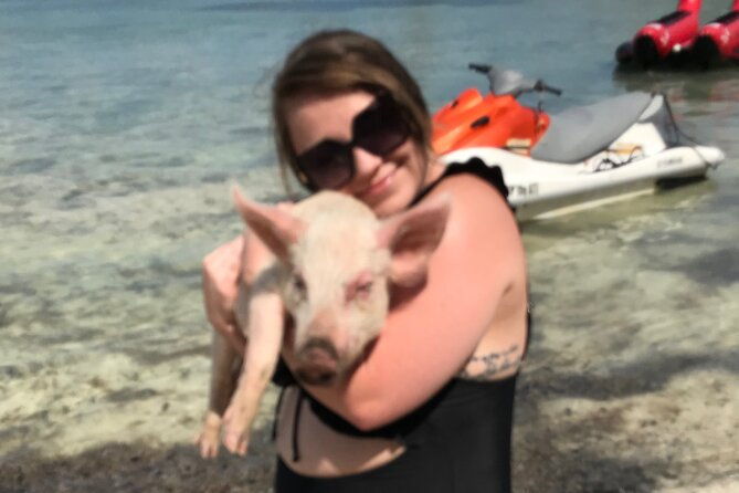all-inclusive-swimming-with-the-pigs