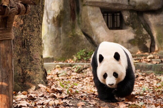 All Inclusive Terracotta Army Group Tour - Final Thoughts