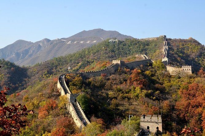 All-Inclusive Tianjin Shore Excursion:Muainyu Great Wall and Forbidden City - Transportation and Practical Details