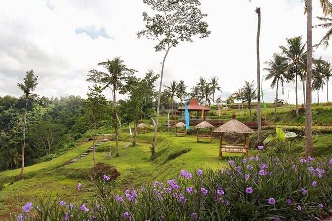 All-Inclusive Ubud Bali Private Full-Day Tour - Introduction: An Authentic Day Out in Bali