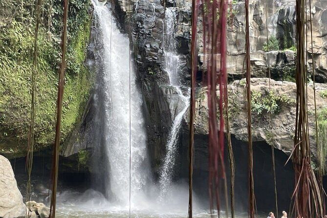 All Inclusive Ubud Cultural and Natural Highlights Tour - What to Expect from the Itinerary