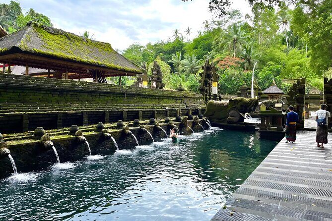 All-Inclusive Ubud Customized Private Tour - Who Should Choose This Tour?