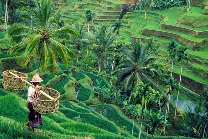 All inclusive Ubud private tour - Exploring the Itinerary: What Makes Each Stop Special