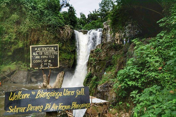 All inclusive Ubud private tour - What the Tour Includes and What to Keep in Mind