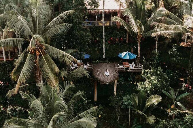 All-Inclusive Ubud Private Tour with Hotel Transfer - Sacred Monkey Forest Sanctuary