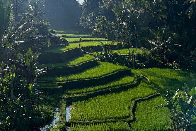 All Inclusive Ubud Tour - Who Will Love This Tour?