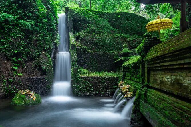 All inclusive - Ubud Tour, Waterfall, Temple And Jungle Swing - Lunch at THE KAWI RESTO POOL AND BAR