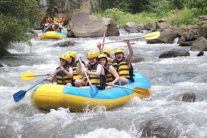 All Inclusive Ubud Tour with Ayung Ubud Rafting - Authentic Experiences and Hidden Gems