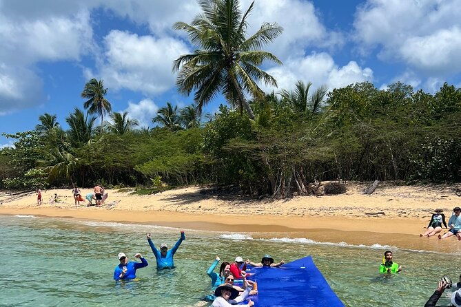 all-inclusive-vieques-swim-with-turtles-pristine-beaches-await