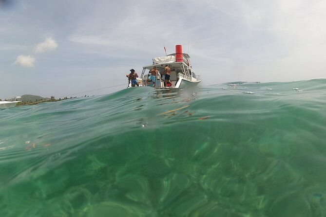 all-inclusive-vieques-swim-with-turtles-pristine-beaches-await