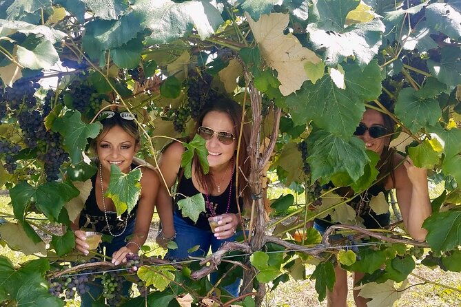all-inclusive-vip-wine-or-beer-tour-in-hudson-valley