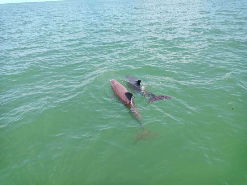 All inclusive Visit to Holbox Island - FAQ