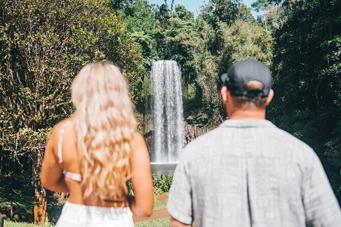 All Inclusive Waterfalls and Rainforest Tour from Cairns - Key Points