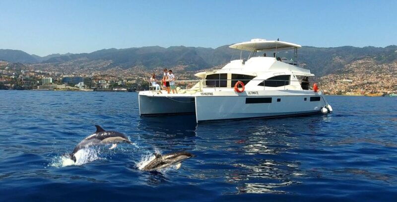 all-inclusive-whale-and-dolphin-watching-luxury-tour