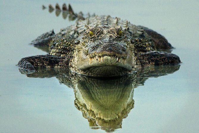 All Inclusive Wilpattu National Park Day Tour From Anuradhapura - The Authentic Sri Lankan Lunch