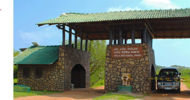 All-inclusive Yala Safari Tour and Kirinda Beach - Final Thoughts