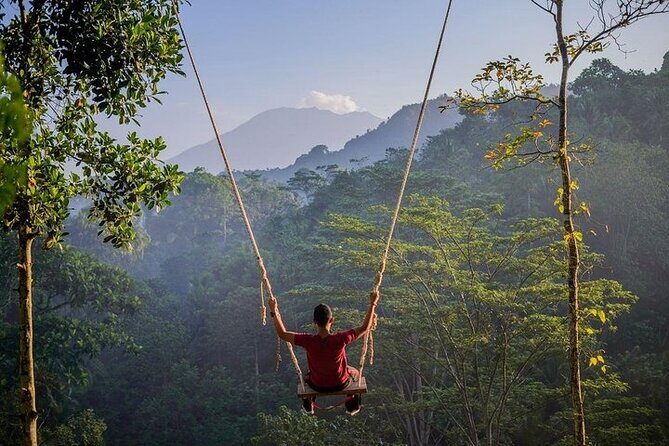 All Inclusives Bali Private Tour Temples Palaces and Nature - Practical Details: What Makes This Tour Stand Out