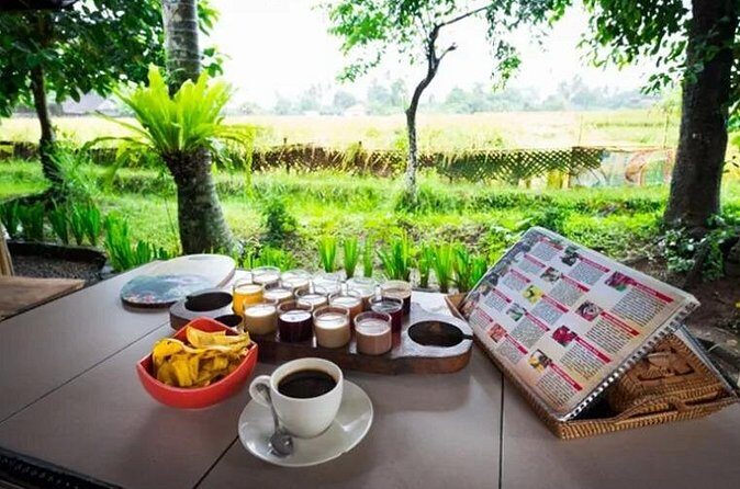 All Inclusives Bali Private Tour Temples Palaces and Nature - Authentic Traveler Insights from Reviews