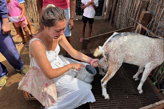 ALL-INCLUSSIVE Cabrer Journey-Live a day like a Cabrer-BoaVista - An In-Depth Look at the Cabrer Journey Experience