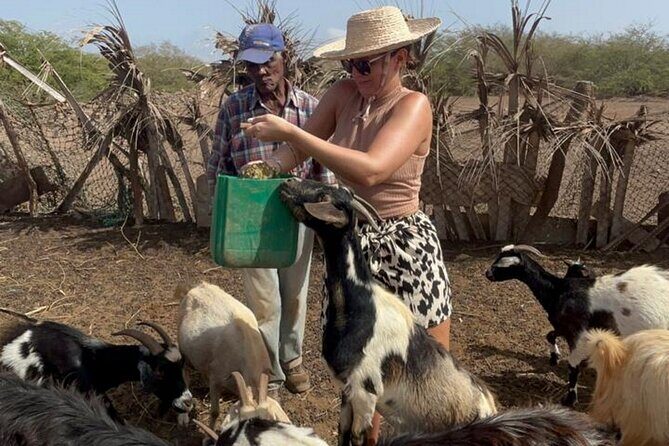 ALL-INCLUSSIVE Cabrer Journey-Live a day like a Cabrer-BoaVista - FAQ