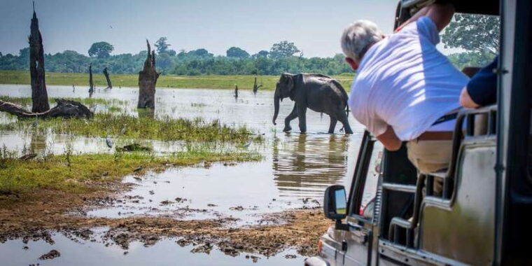 all-inclussive-udawalawa-national-park-safari-from-colombo