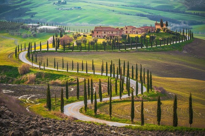 all-tuscany-private-siena-san-gimignano-chianti-livorno-shore-excursion