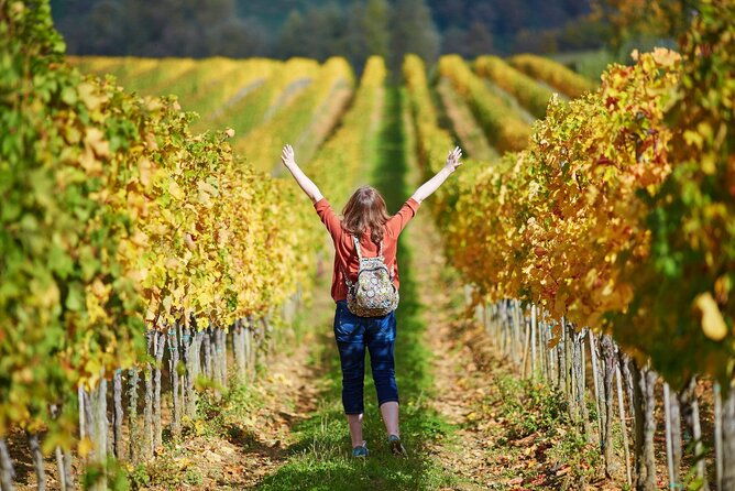 all-tuscany-private-siena-san-gimignano-chianti-livorno-shore-excursion