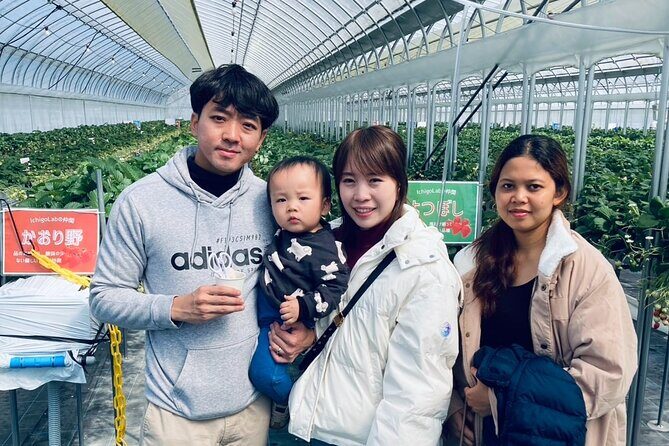 All You Can Eat Strawberry Picking in Izumisano Osaka - Key Points
