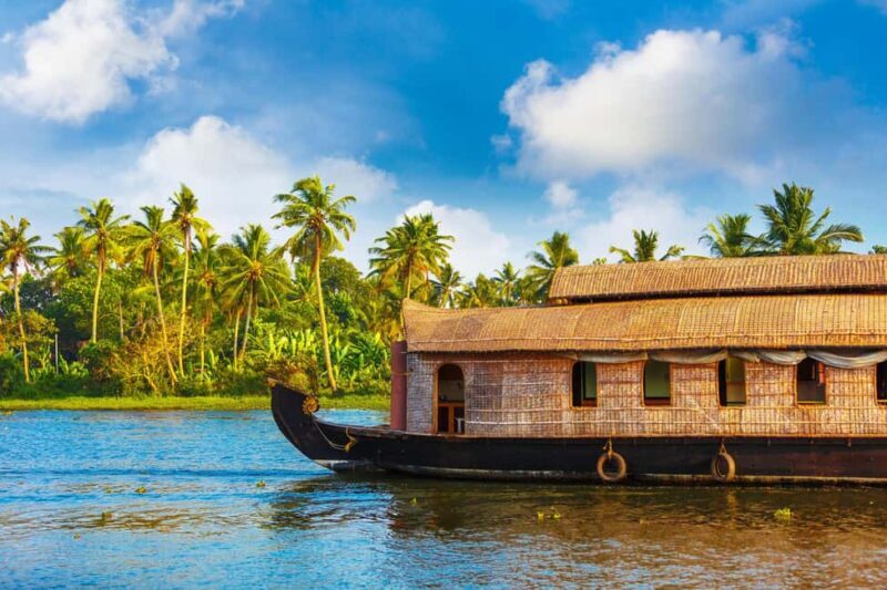 Alleppey / Alappuzha Houseboat Day Cruise with Lunch: Cochin - Key Points