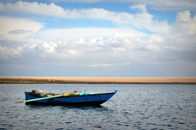 Allinclusive Private Tour Fayoum Oasis & Valley of Wales - The Sum Up
