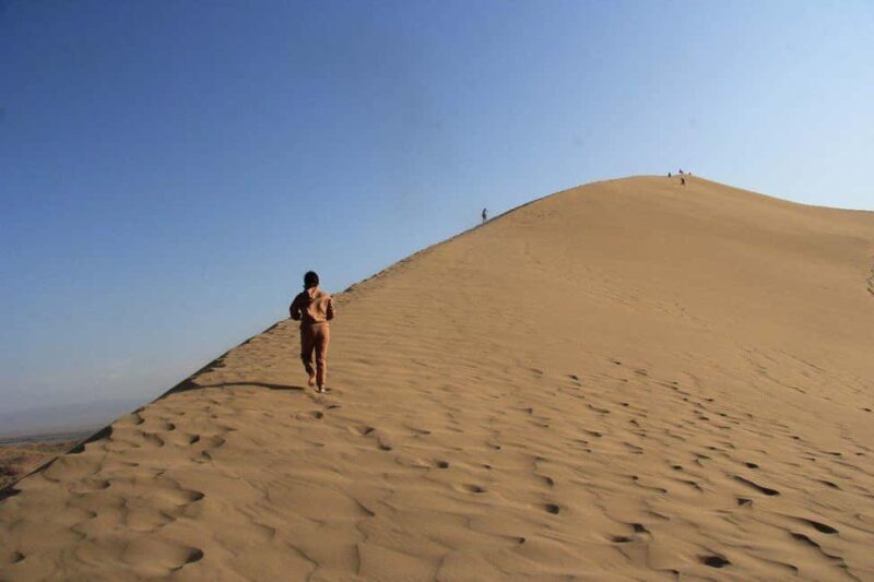 Almaty: 2-Day Altyn-Emel National Park Tour with Meals - Why This Tour Stands Out