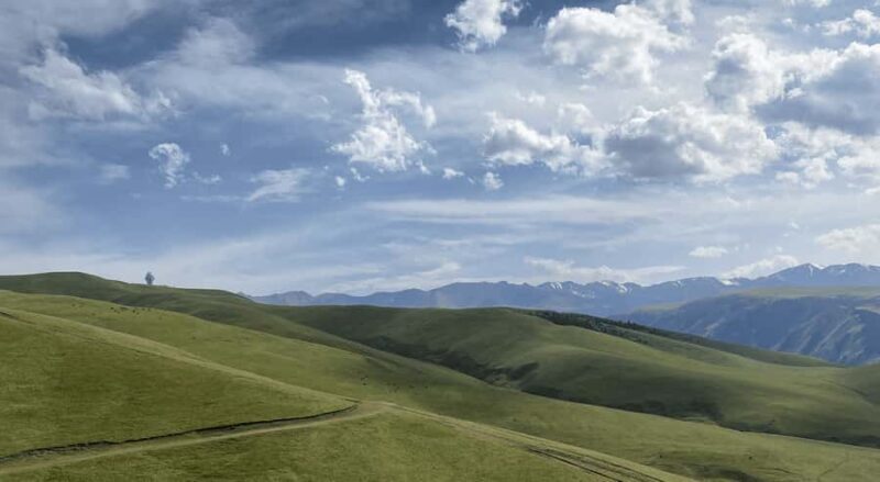 Almaty: 2 Day Assy Plateau and Turgen Camping & SUV Tour - What Makes This Tour Special