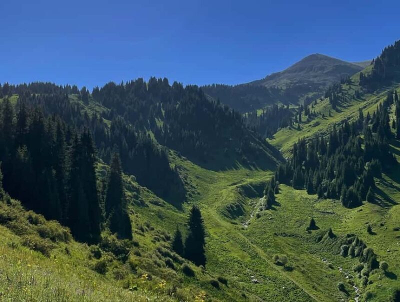 Almaty Advanced Hiking: Four Peaks Hike - Exploring the Route: What to Expect