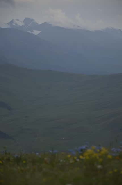 Almaty: Assy Plateau Stargazing Tour with Dinner & Hookah - Who Will Love This Tour?