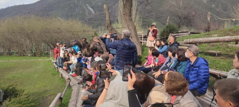 Almaty: Big Almaty Lake Hike and Falconry Show Tour - Pricing and Value